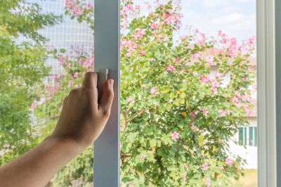 Window And Door Screen Repair